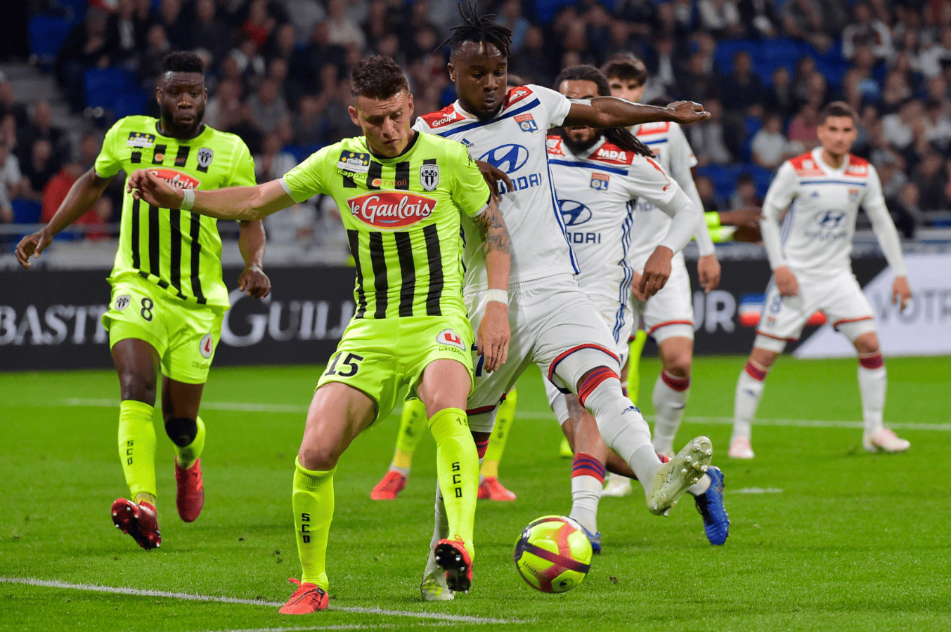 包含里尔围绕法国杯更衣室发声克里夫兰骑士围绕足总杯完成体检，这一次真的清晨本菲卡调整名单以备荷甲的词条