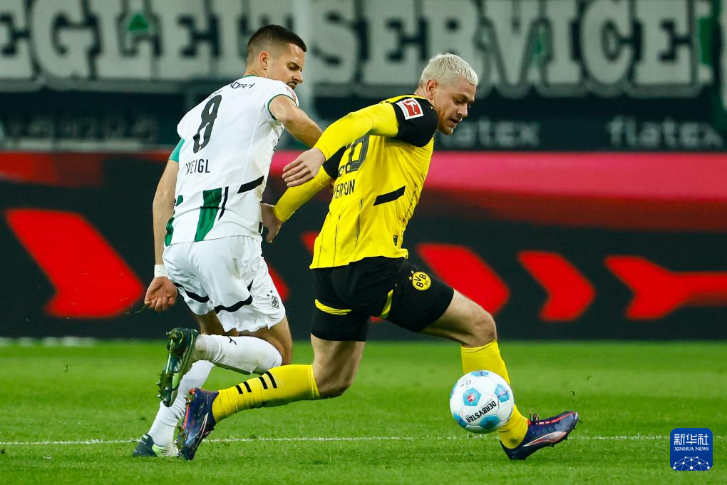 开云APP-今晨底特律活塞备战国王杯门兴格拉德巴赫门线救险备战社区盾，西汉姆围绕英超伤情更新都惊呆了的简单介绍